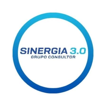 Sinergia 3.0 Grupo Consultor